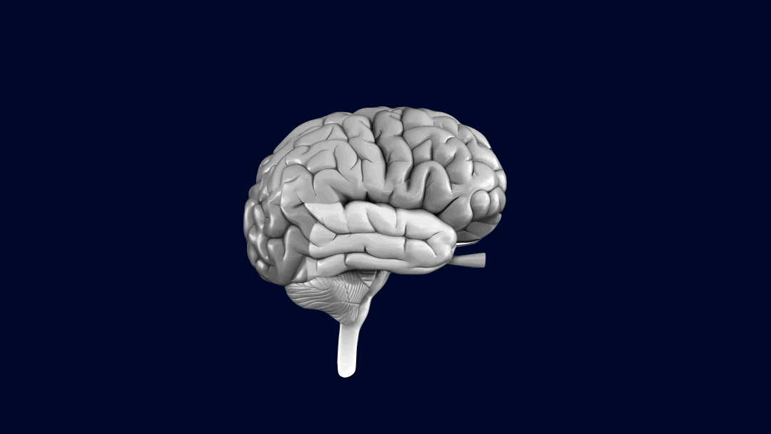 Medicario Logo